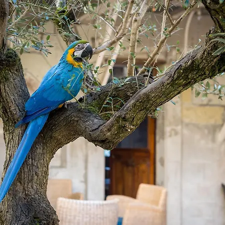 Le Patio & Guest house 4*