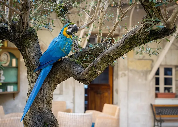 Le Patio & Guest house 4*